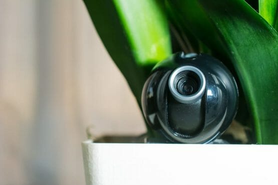 Webcam hidden in a flower pot for covert surveillance of the house. Surveillance and security systems
