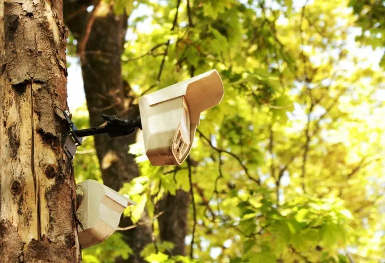 How To Hide A Camera In Plain Sight (6 Ideas)