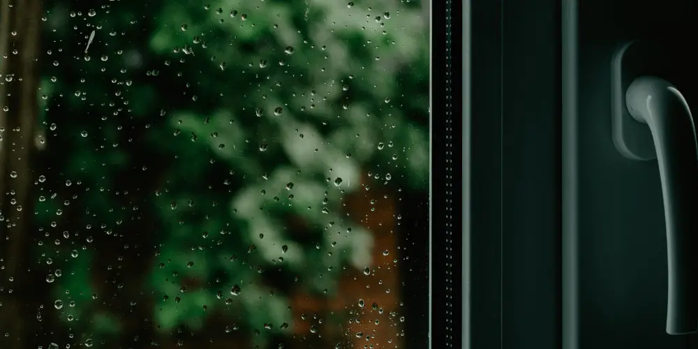 rain drops on glass door