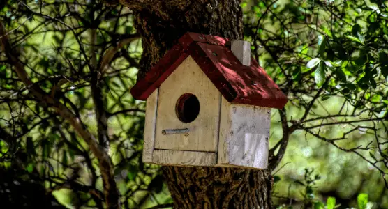 birdhouse