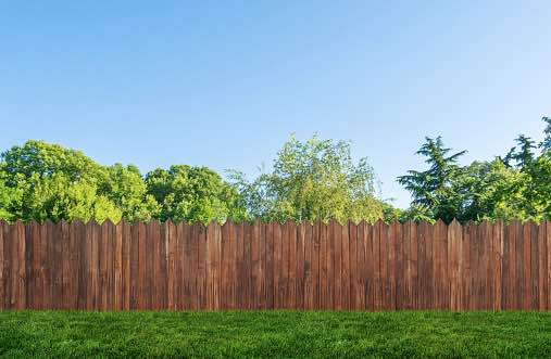 backyard fence