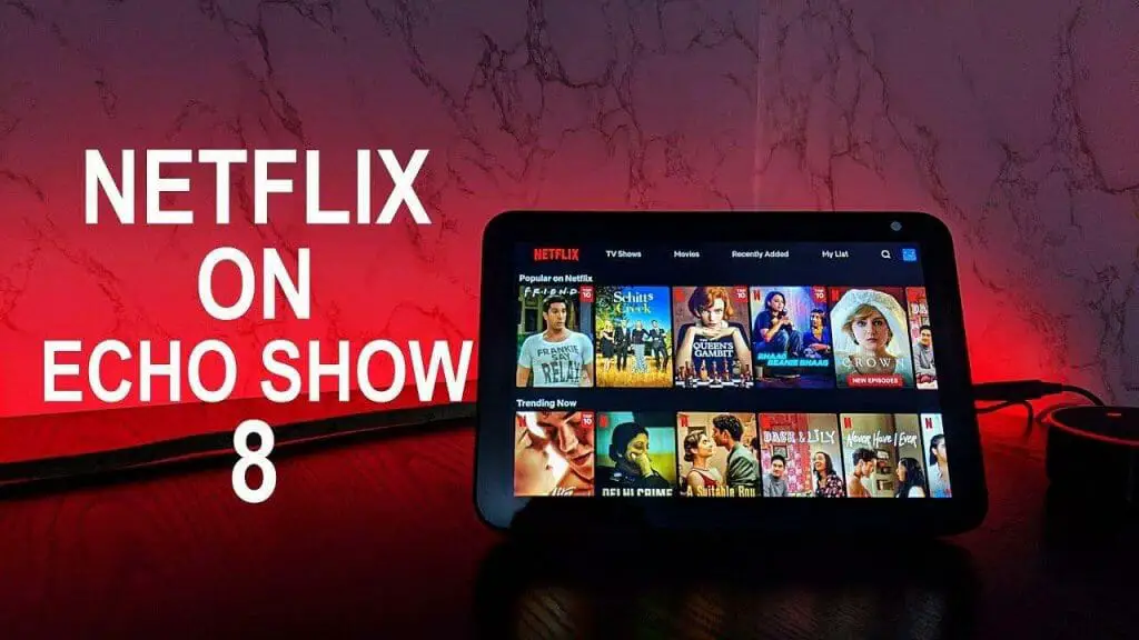 Netflix Echoshow