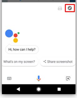 Connecting Google Assistanct to MyQ App