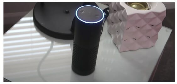 alexa device on the table