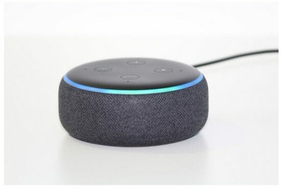 alexa for intruder