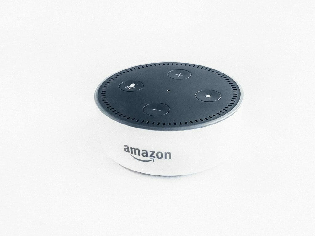 white amazon alexa