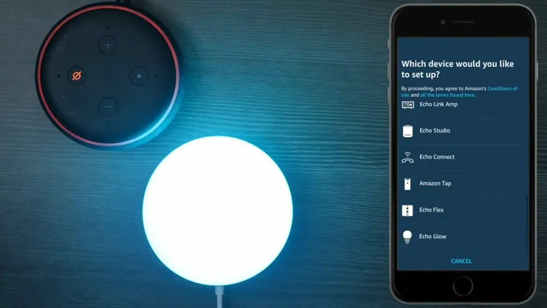 alexa and mobile app set up