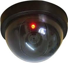 fake dome like security camera