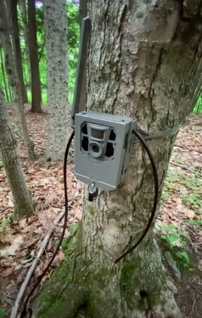 strapped lock box with trail camera
