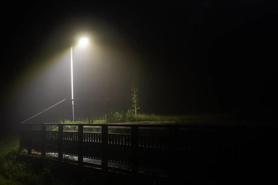 light post at night time